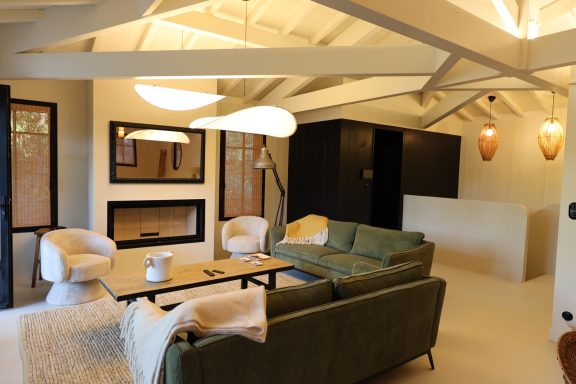 Salon chaleureux avec cheminée contemporaine