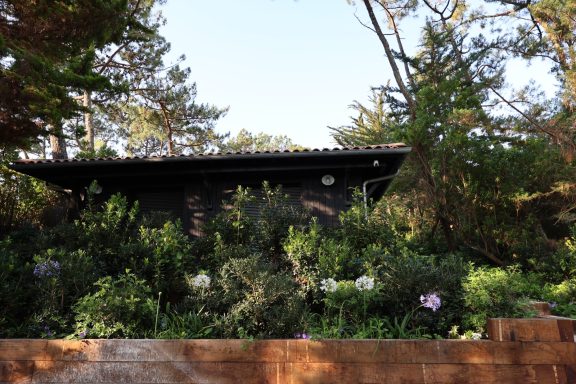 Maison rénovée au cœur d’un jardin naturel